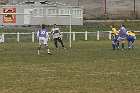 november novembre 2011 copyright free photo royalty free photo