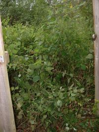 Les Guis Virlet Pionsat France Renewable Energy behind the fence down to the orchard