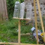 plastic bottle bird scarer les guis virlet pionsat puy de dome auvergne france juin june 2008 copyright free photo royalty free photo