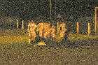 football club pionsat st hilaire club de foot menetrol 24 octobre 2009 24 10 2009 copyright free photo royalty free photo